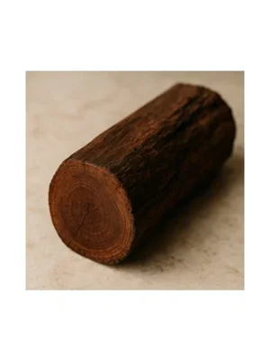 Bulletwood Tree
