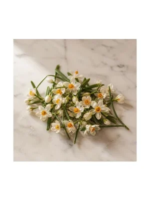 Bunch-Flowered Narcissus