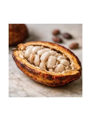 Cacao Pod