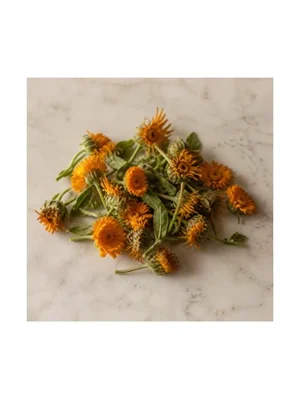 Calendula