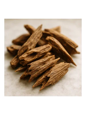 Cambodian Oud