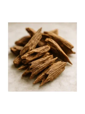 Cambodian Oud