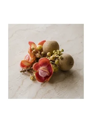 Cannonball Flower