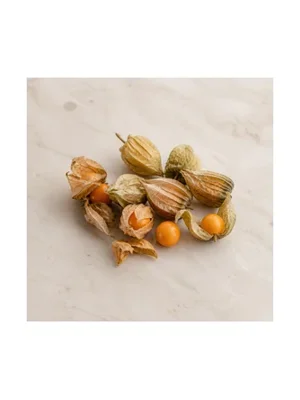 Cape Gooseberry
