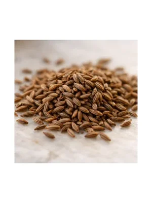 Caraway