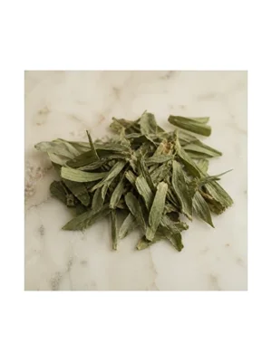 Carnation Leaves