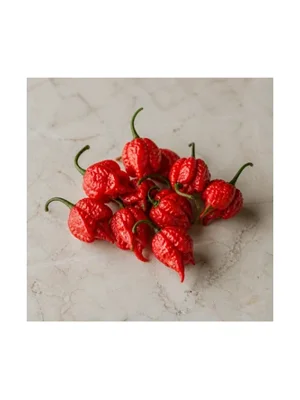 Carolina Reaper