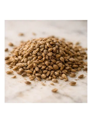 Carrot Seeds