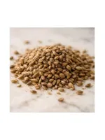 Carrot Seeds