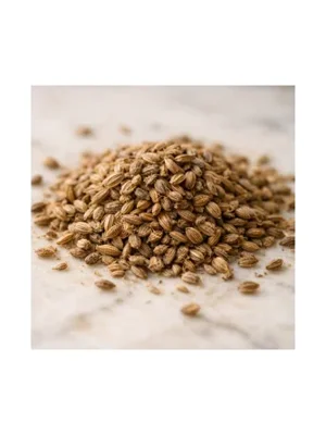 Carrot Seeds