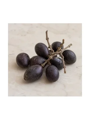 Cassowary Fruit
