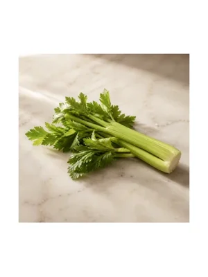 Celery