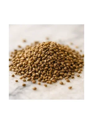 Celery Seeds