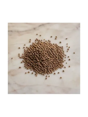 Celery Seeds