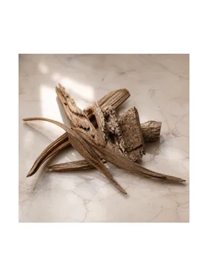 Chalood Bark