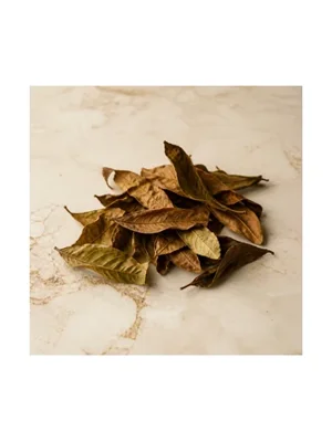 Champaca Leaf CO2