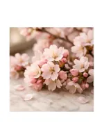 Cherry Blossom