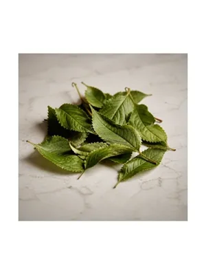 Cherry Leaf