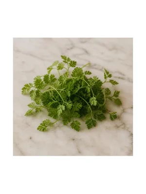 Chervil