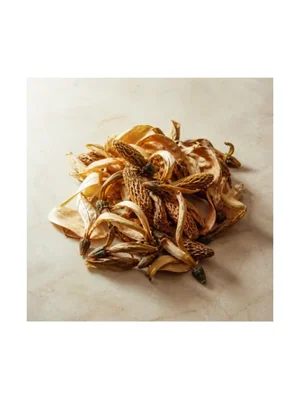 Chinese Magnolia