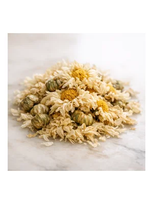 Chrysanthemum