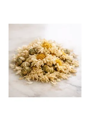 Chrysanthemum