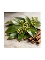 Cinnamon Leaf