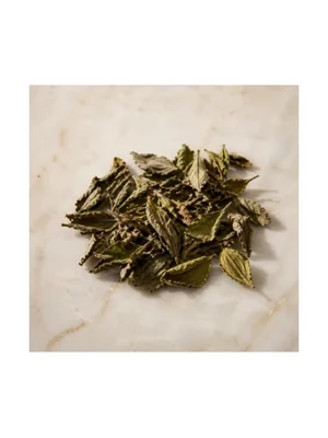 Cistus Leaf