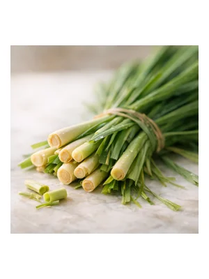 Citronella