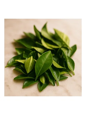 Citrus Leaf