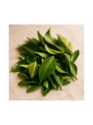 Citrus Leaf