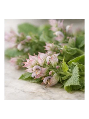 Clary Sage