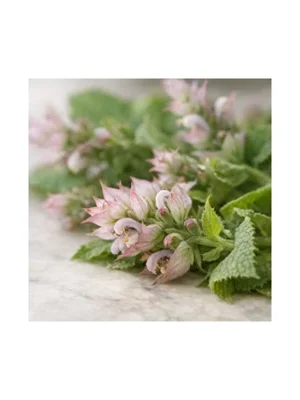 Clary Sage