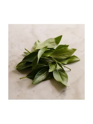 Clementine Leaf