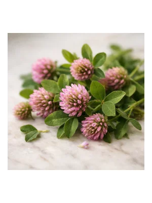 Clover
