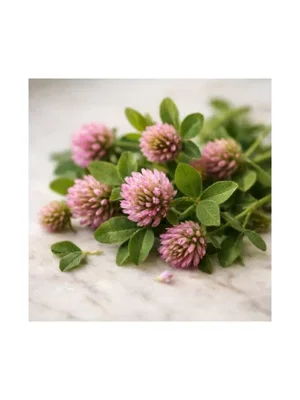 Clover