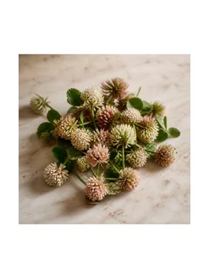 Clover Blossom