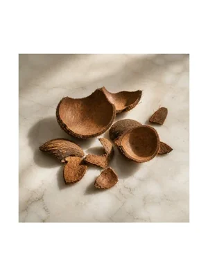 Coconut Shell