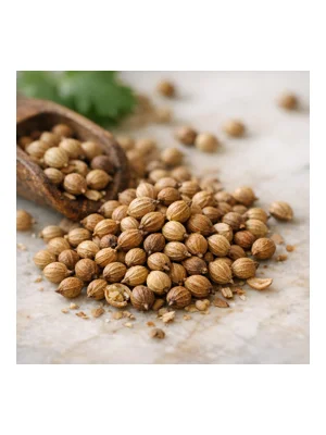 Coriander