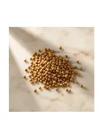 Coriander Seed