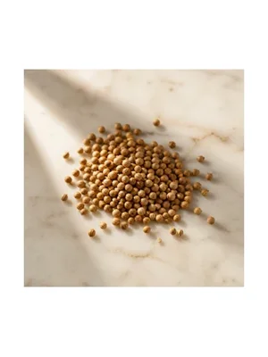 Coriander Seed