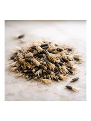 Cornflower Sultan Seeds