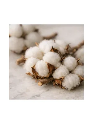 Cotton Flower