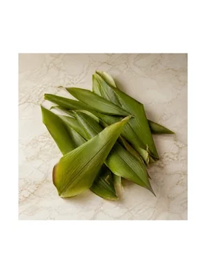 Curcuma Leaf