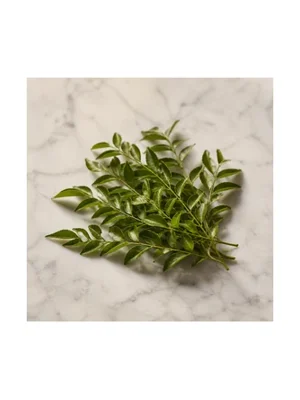 Curry Leaf