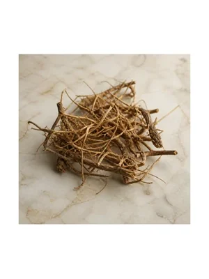 Cypress Root