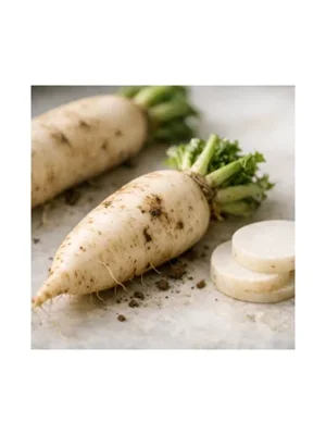 Daikon Radish