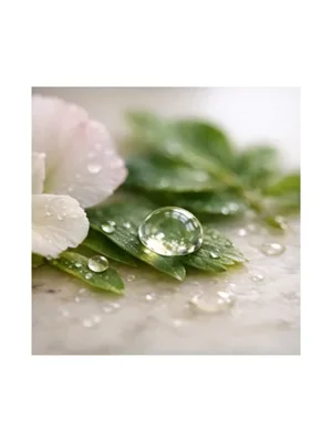 Dew Drop