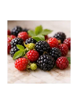 Dewberry