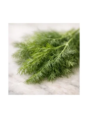 Dill